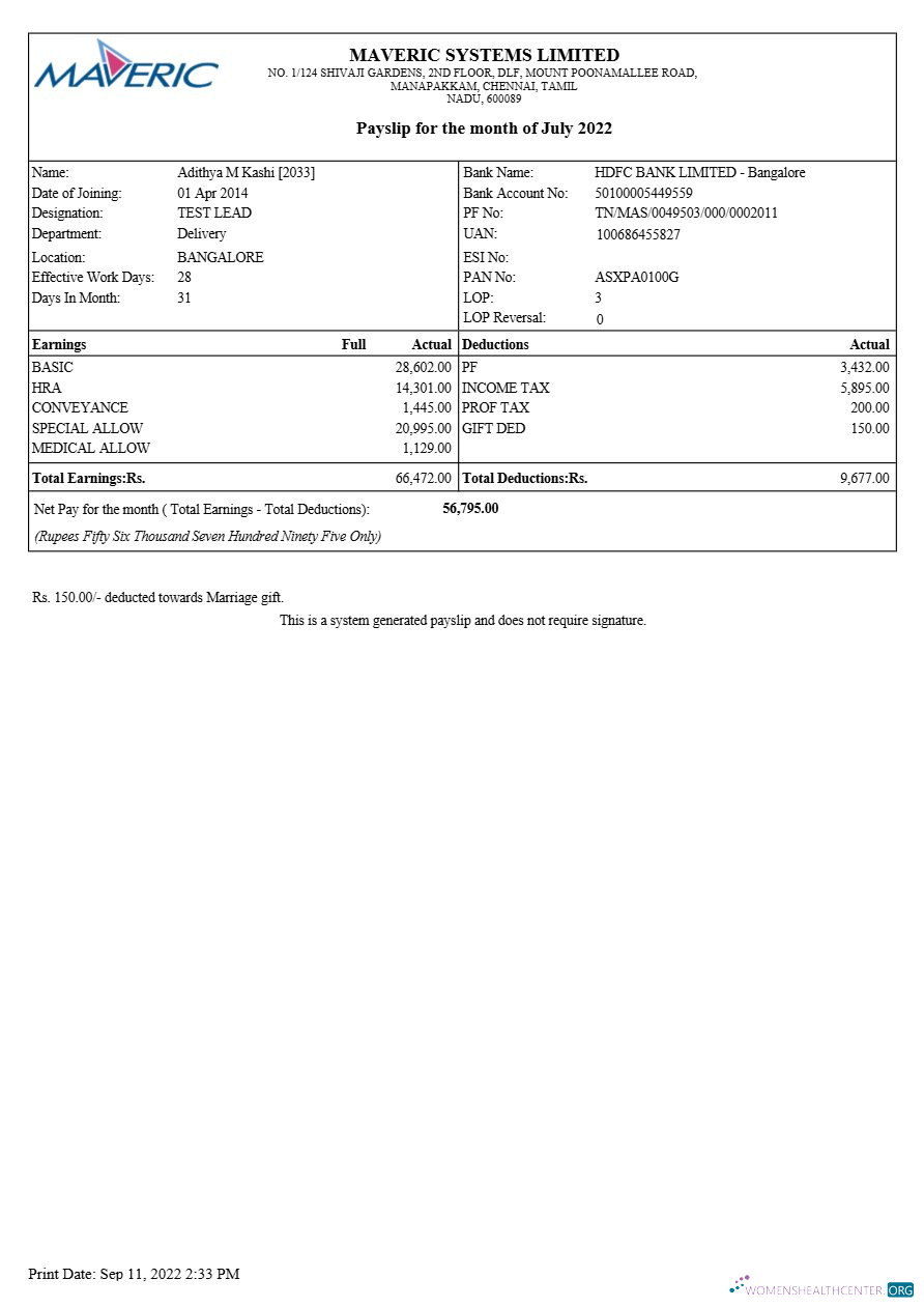 Download Maveric Systems engineering company payslip template in Word and PDF formats.pdf, 1 Photoshop template